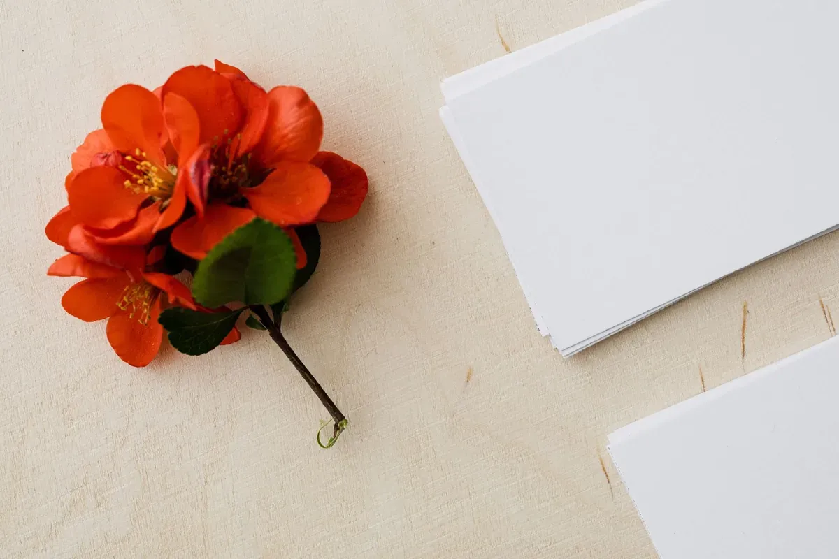Stacks of business cards laid out on a warm table